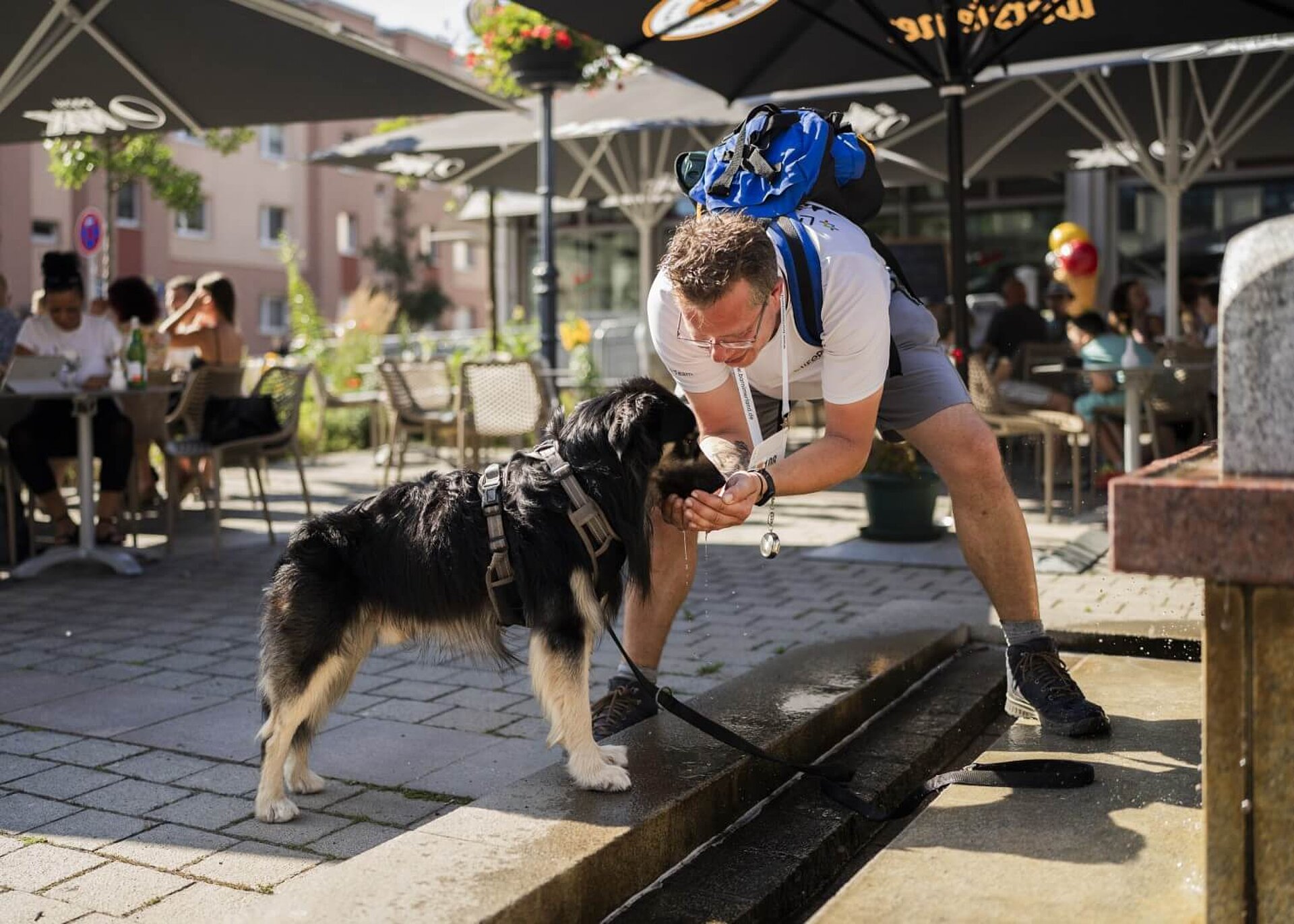 Teilnehmer gibt seinem Hund an einem Springbrunnen etwas zu trinken.
