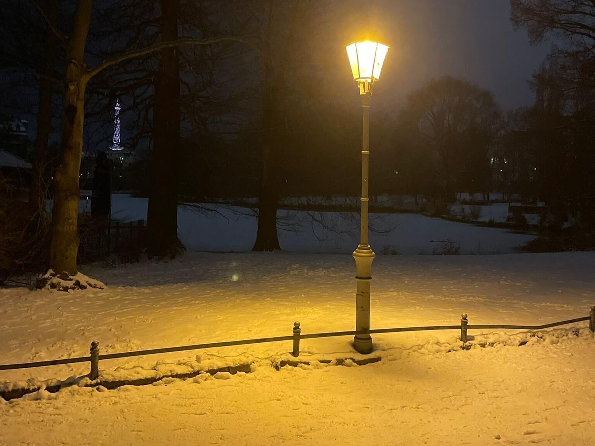 Street lamp in a dark, snow-covered park.
